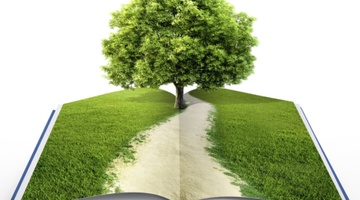 Зеленая философия вместе с Napura