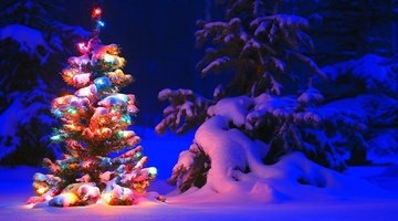 Свято наближається: лучший подарок коллекция Napura